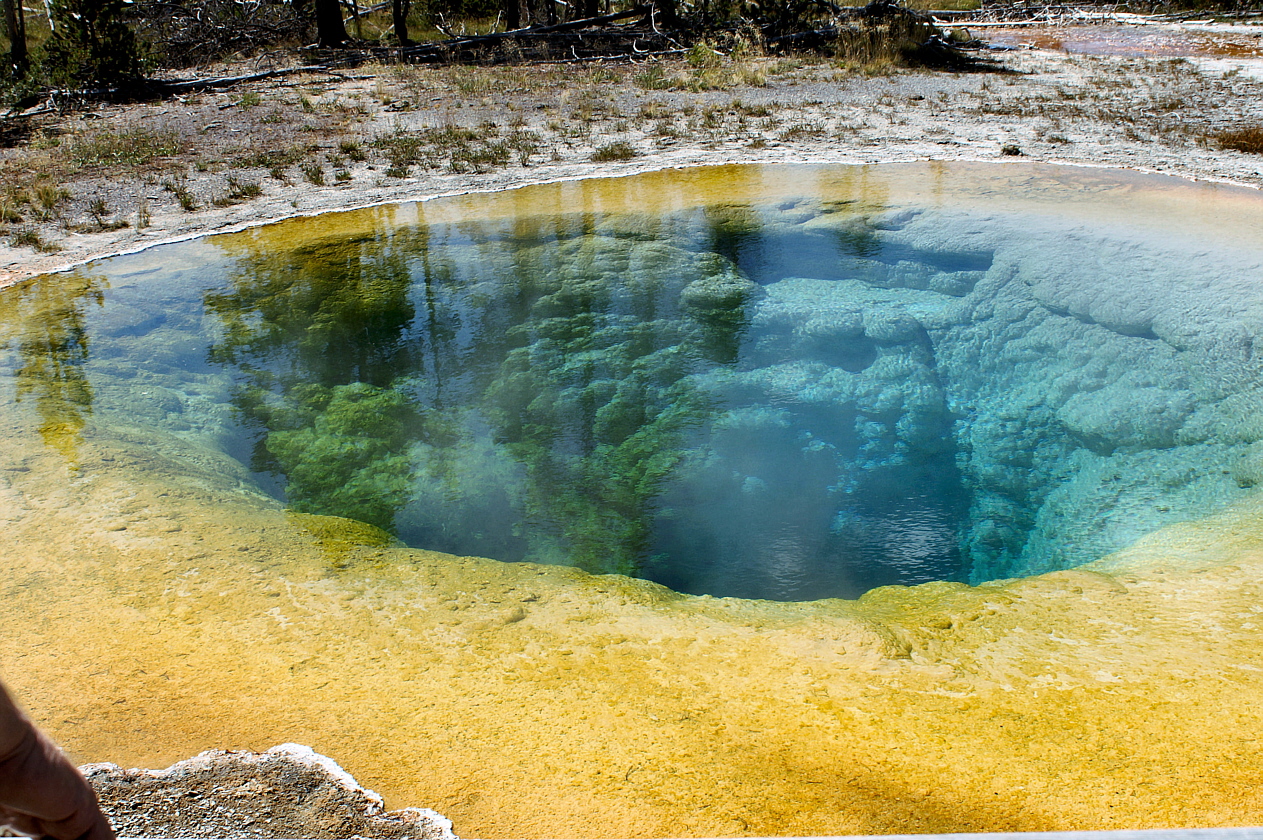 MorningGlory MorningGlory