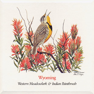 wyoming_card wyoming_card