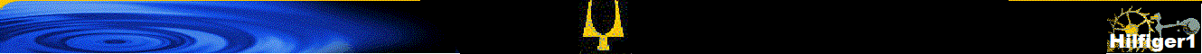 Hilfiger1