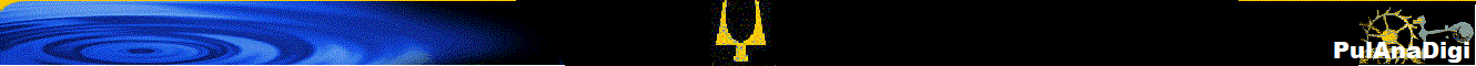 PulAnaDigi
