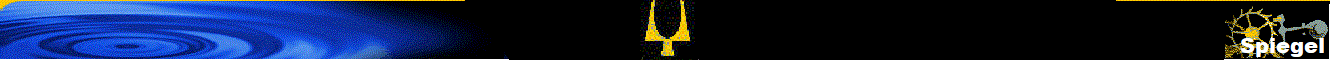 Spiegel