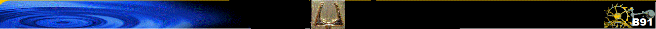 B91