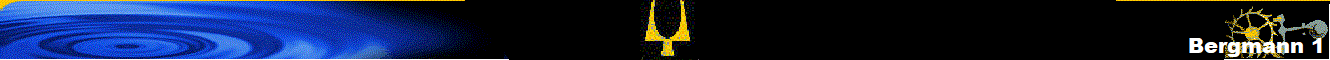 Bergmann 1
